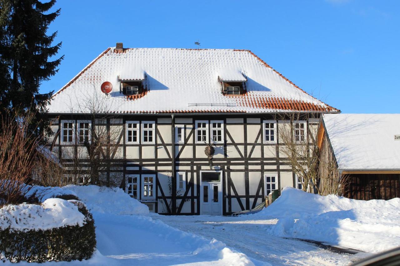 BauhausForsthaus In Waldhessenアパートメント エクステリア 写真